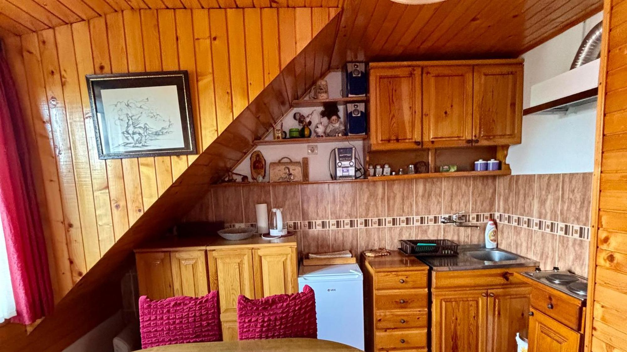 Vasilije Apartment Žabljak エクステリア 写真
