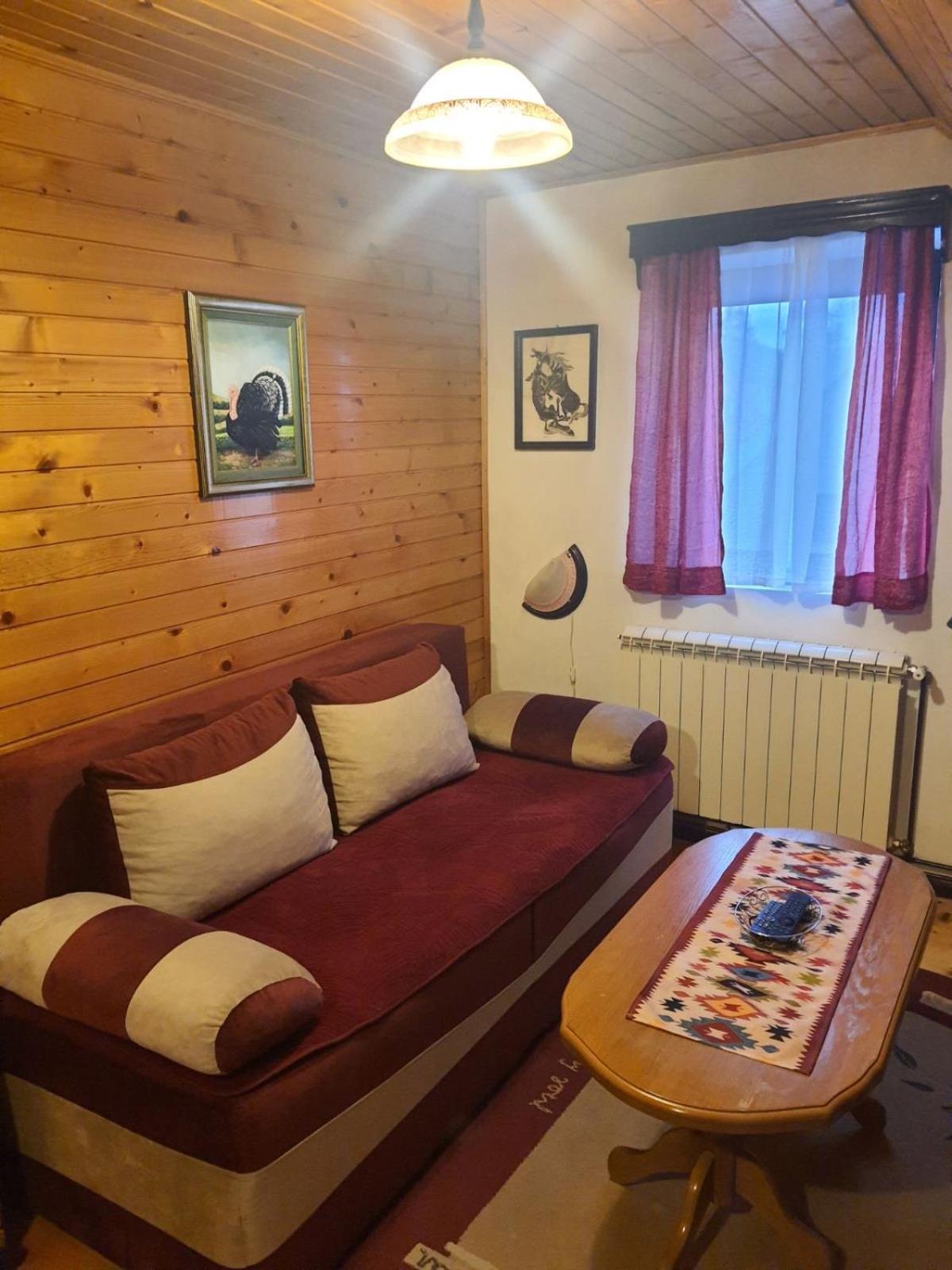 Vasilije Apartment Žabljak エクステリア 写真